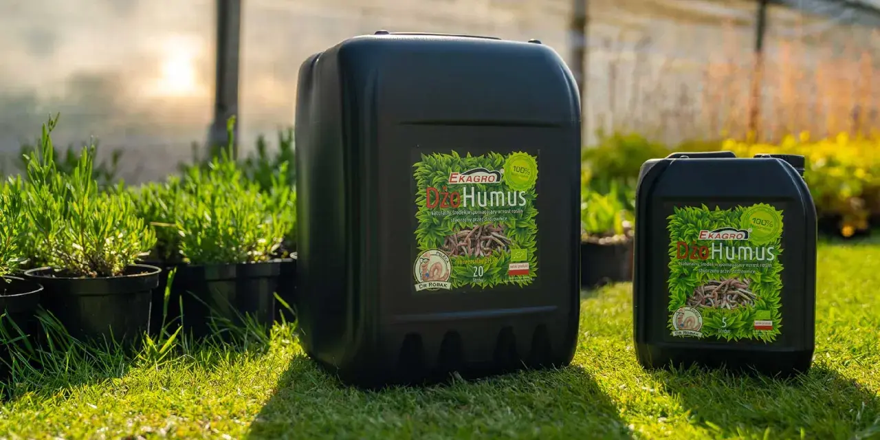 Dżo Humus, naturalny biohumus do jakich roślin? Wzmocni każdą roślinę, od ziół po warzywa.
