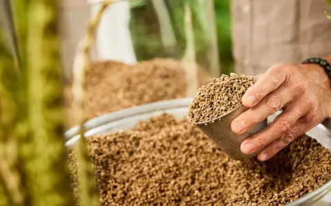 Dłoń wsypuje do dużej misy drobne, brązowe granulki. To idealne podłoże mineralne dla roślin, zapewniające im optymalne warunki do wzrostu.