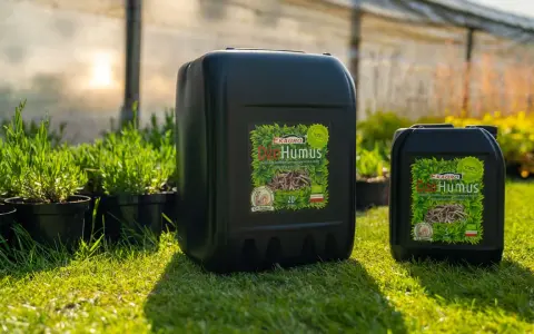 Dżo Humus, naturalny biohumus do jakich roślin? Wzmocni każdą roślinę, od ziół po warzywa.