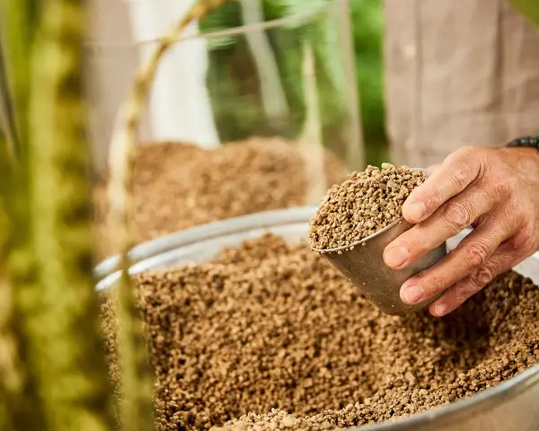 Dłoń wsypuje do dużej misy drobne, brązowe granulki. To idealne podłoże mineralne dla roślin, zapewniające im optymalne warunki do wzrostu.