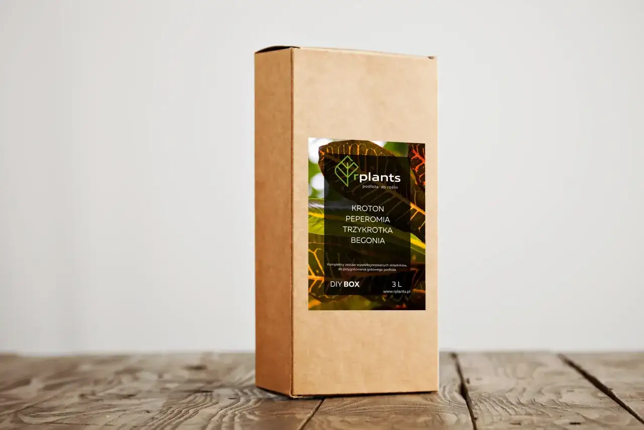 Ziemia do krotona i innych roślin ozdobnych. Opakowanie DIY BOX 3L od rplants.pl.