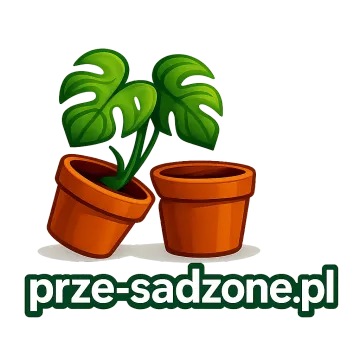Logo prze-sadzone.pl